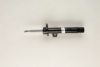 BMW 31316782855 Shock Absorber